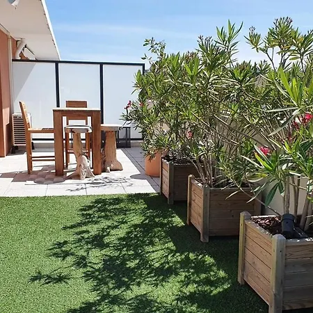 Rooftop Du Lavandou - Terrace And Pool Apartamento